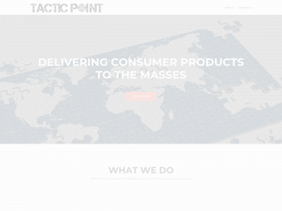 tacticpoint.co snapshot