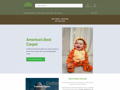ecowiseflooring.com snapshot