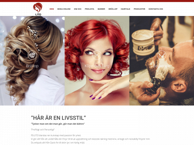 litosalong.se snapshot