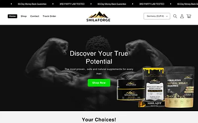 shilaforge.com snapshot