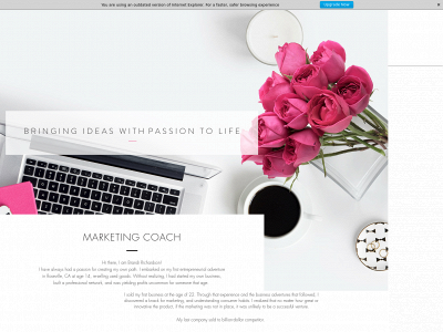 brandirichardson.com snapshot