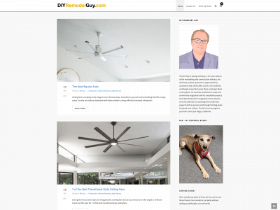 diyremodelguy.com snapshot