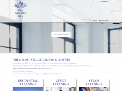 elitecleaningnyc.com snapshot