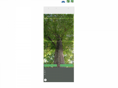 rstrad.se snapshot