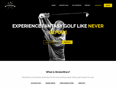 strokewars.com snapshot