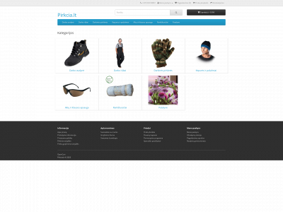 pirkcia.lt snapshot