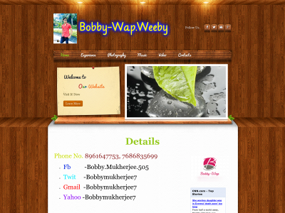bobby-wap.weebly.com snapshot