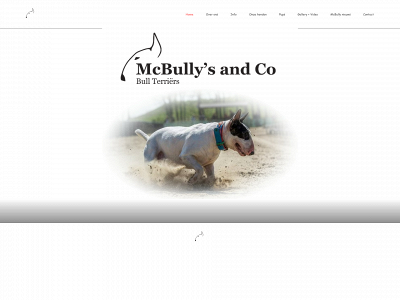 mcbullysandco.nl snapshot