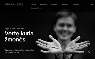 primumesse.lt snapshot