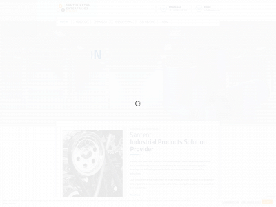 santent.in snapshot