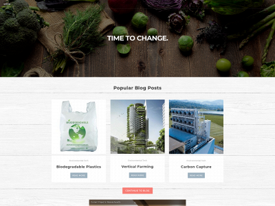 www.theneyo.org snapshot