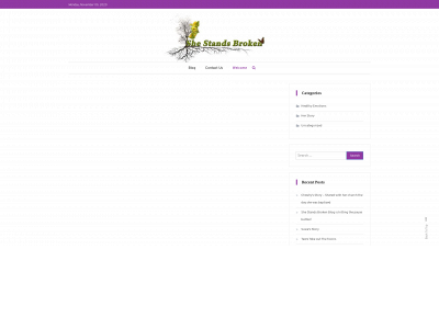 shestandsbroken.com snapshot