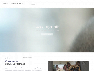 ncsuperbulls.weebly.com snapshot