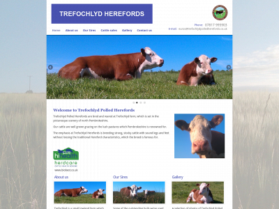 trefochlydpolledherefords.co.uk snapshot