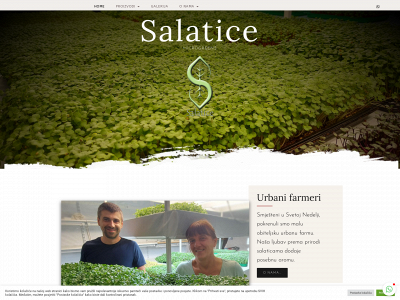 salatice.com snapshot