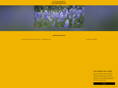 californiaprospectors.com snapshot