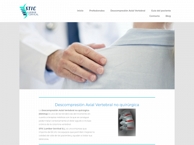 sticlumbarcervical.es snapshot