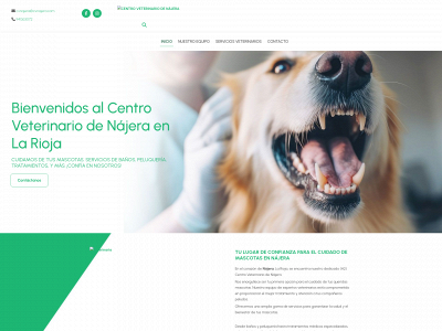 cvnajera.es snapshot