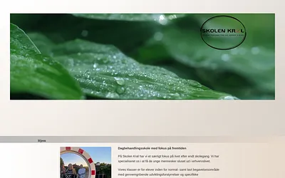 skolenkroel.dk snapshot