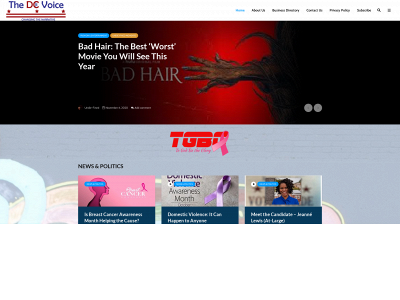 thedcvoice.com snapshot