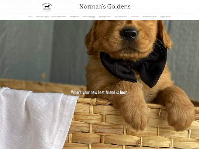 normansgoldens.com snapshot