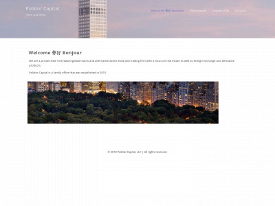 polidorcapital.com snapshot