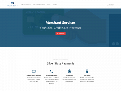 silverstatepayments.com snapshot