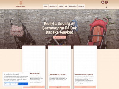 barnevognguiden.dk snapshot