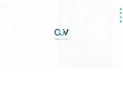 omniupvision.com snapshot