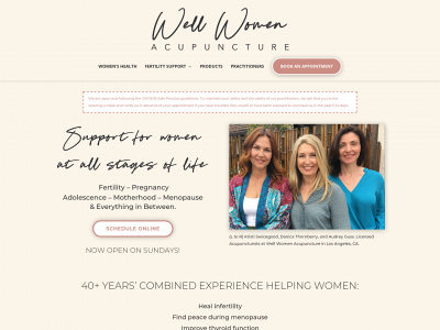 wellwomenacupuncture.com snapshot