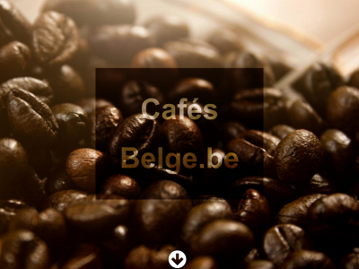 cafes-belge.be snapshot