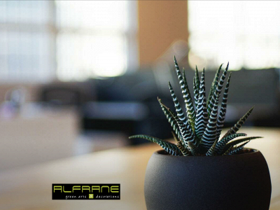 alfrane.nl snapshot
