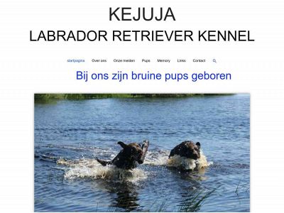 kejuja.nl snapshot