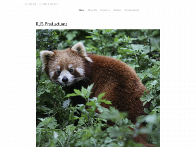 raelynreyesdp.weebly.com snapshot