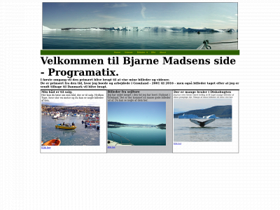 programatix.dk snapshot