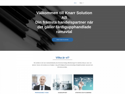 knarrsolutions.com snapshot