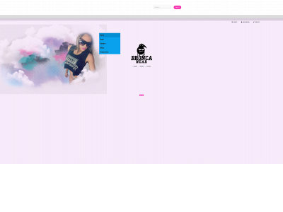 broncastore.website snapshot