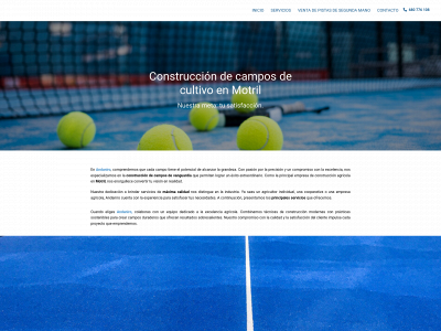 andaniro.com snapshot