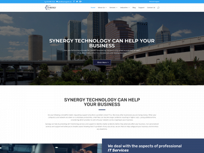 synergytek.net snapshot