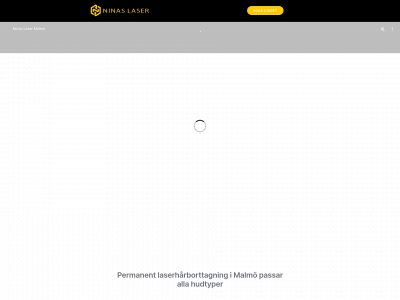 ninaslaser.se snapshot