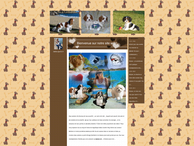 joelle-ajaccio.fr snapshot