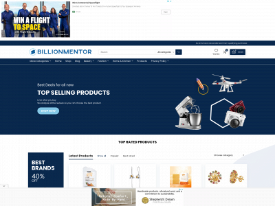 billionmentor.net snapshot