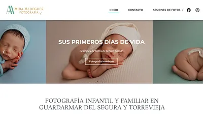 aidaaldeguer.com snapshot