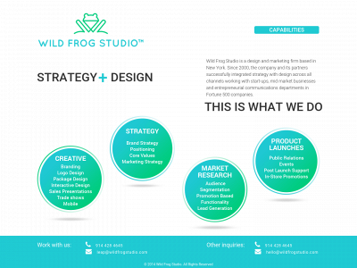 wildfrogstudio.com snapshot