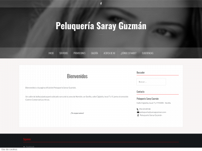 sarayguzman.com snapshot