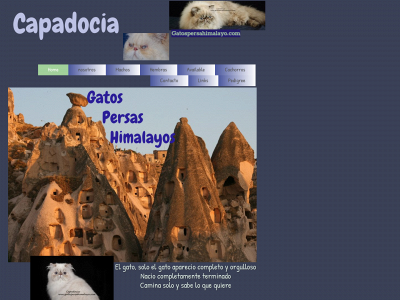 gatospersahimalayo.com snapshot
