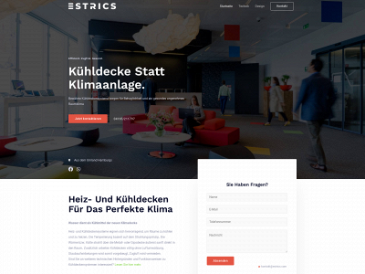 estrics.com snapshot