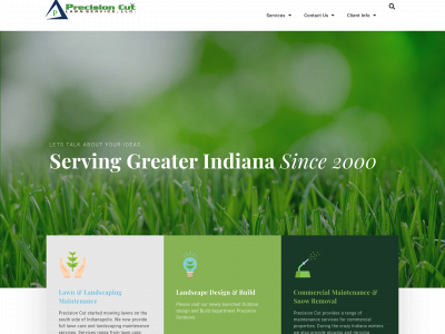 precisioncutlawn.com snapshot