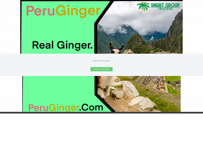 peruginger.com snapshot