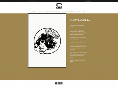slickybaggers.com snapshot